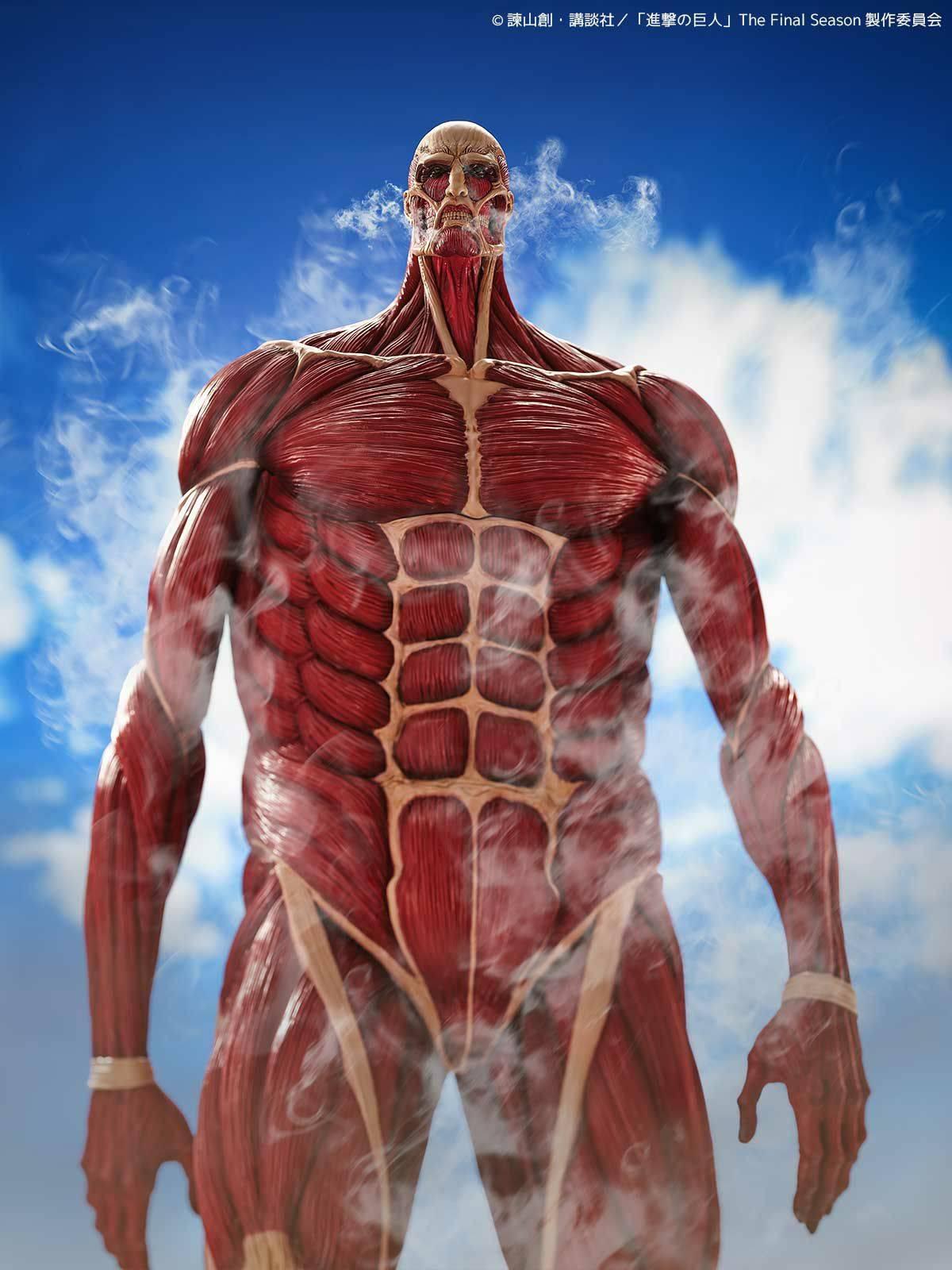 [Kaiyodo] Amazing Yamaguchi / Revoltech: Attack on Titan - Colossal Titan (Mega Soft Vinyl Figure) (Limited Edition) (Pre-Order) Kaiyodo