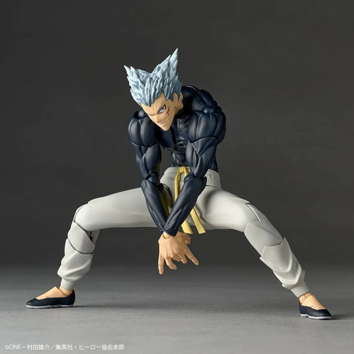[Kaiyodo] Amazing Yamaguchi / Revoltech: One Punch Man - Garou (Limited + Bonus) (Pre-Order) - AnisoftPH