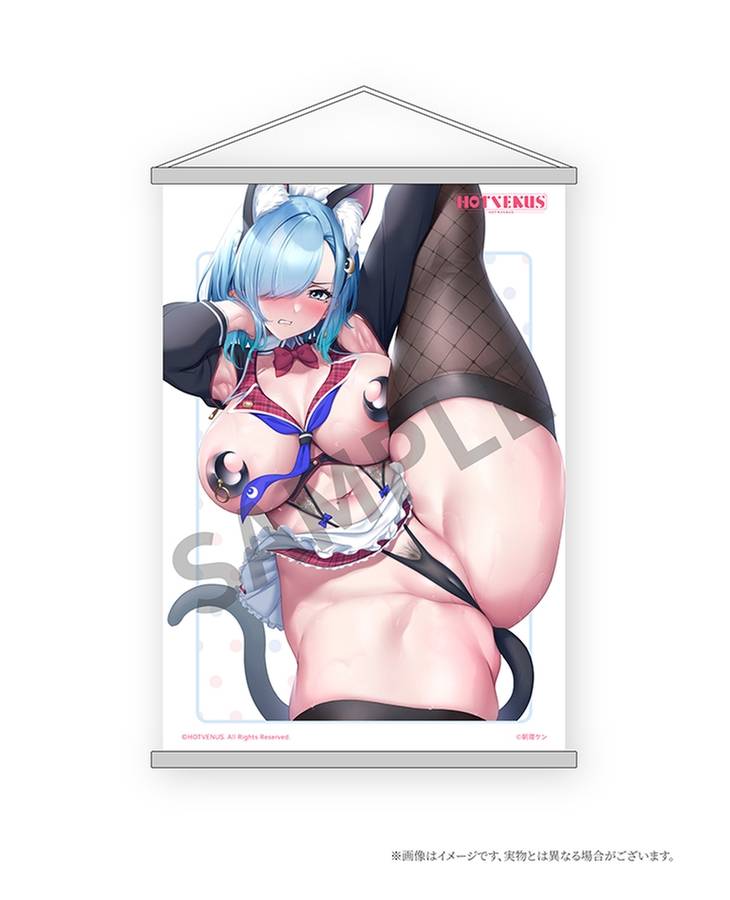 [Hotvenus / Native] Creator's Collection: Lewd Girl Y-Shape Balance - Aoi Nitsuki Tapestry Set (Limited + Bonus) (Pre-Order)
